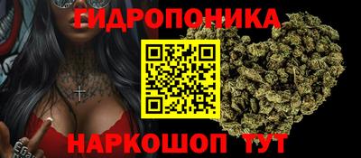a pvp Заводоуковск