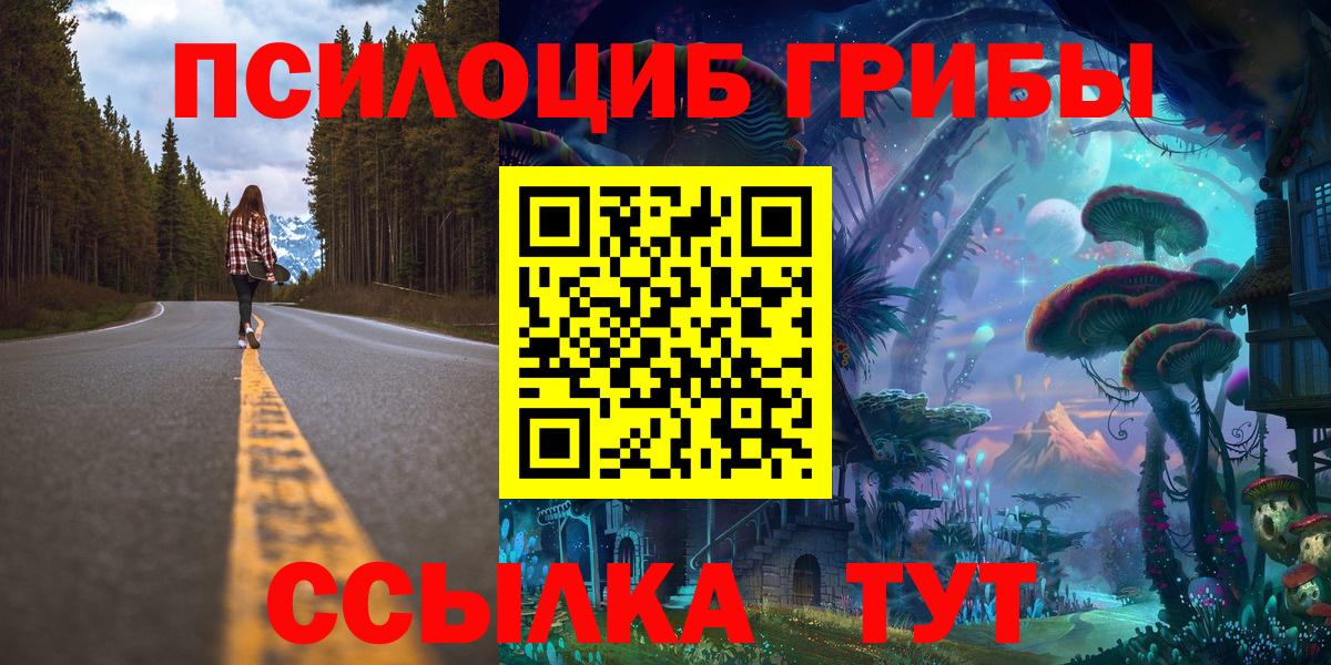 Галлюциногенные грибы прущие грибы Курчатов